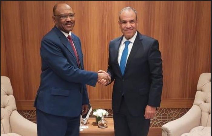 مصر
      تؤكد
      «دعمها
      الثابت»
      لوحدة
      السودان
      وسيادته