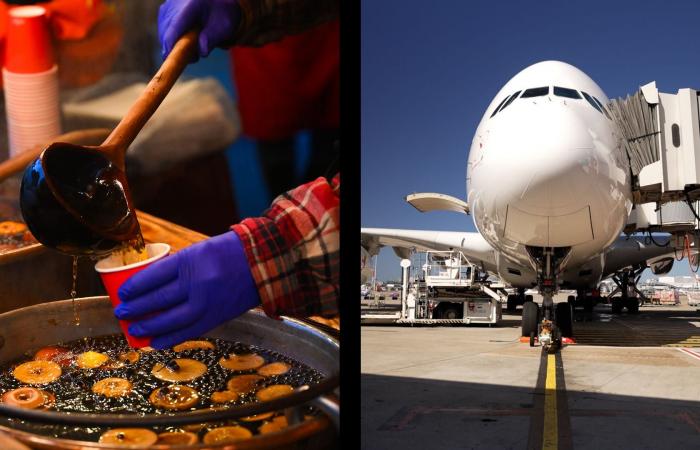 هل يشغّل زيت القلي المستخدم رحلتك القادمة بالطائرة؟