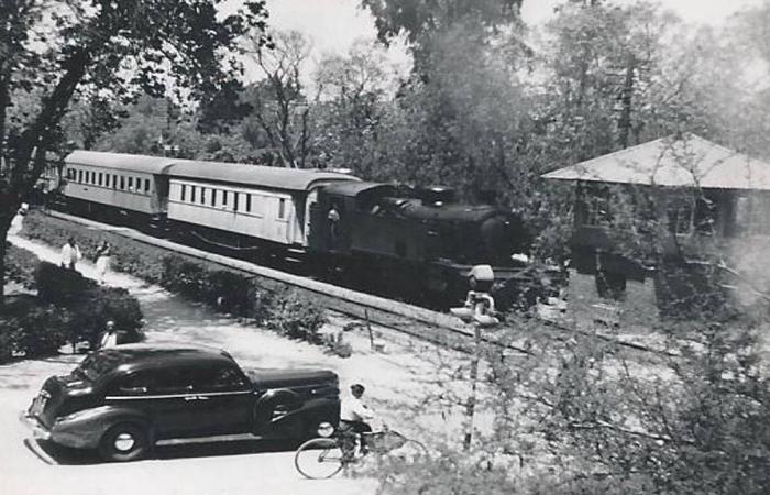 تراجيديا
      شيرين
      عبد
      الوهاب
      المتكررة
      «تُصعّب»
      عودتها