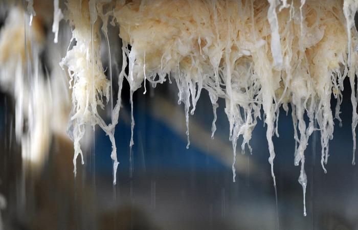 مخلّل الملفوف..لماذا يجب أن تُضيف هذا النوع من الطعام لنظامك الغذائي؟