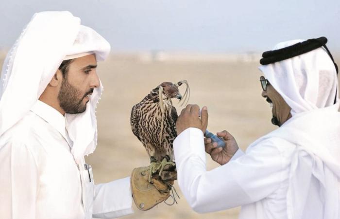 بدء بطولة الدعو واهتمام خاص بالإنتاج المحلي