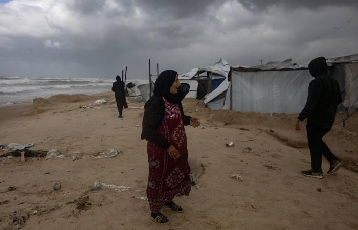 المنخفضات
      الجوية
      تحصد
      مزيداً
      من
      أرواح
      النازحين
      الغزيين