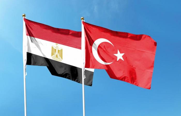 مصر وتركيا تؤكدان ضرورة تضافر الجهود الإقليمية والدولية لثبيت وقف إطلاق النار بغزة