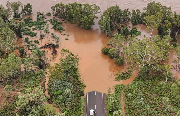 معرض
      استثنائي
      يسرد
      تاريخ
      بدايات
      الحركة
      الفنية
      السعودية