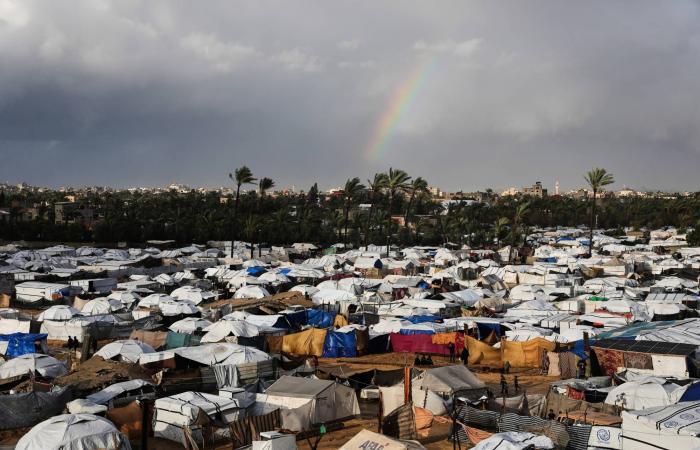 المنخفضات
      الجوية
      تحصد
      مزيداً
      من
      أرواح
      النازحين
      الغزيين