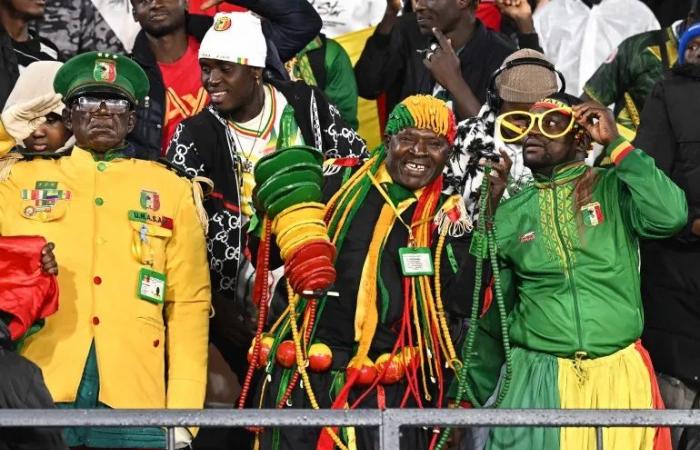 حصل على 40 ألف دولار مقابل وعد بالفوز بكأس الأمم الأفريقية.. والشرطة تتدخل