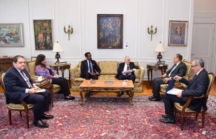 اجتماع
      دولي
      بالقاهرة
      لتنسيق
      جهود
      السلام
      في
      السودان