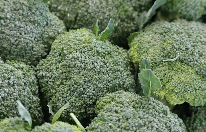 ما
      أفضل
      الأطعمة
      لحياة
      طويلة
      وصحية؟