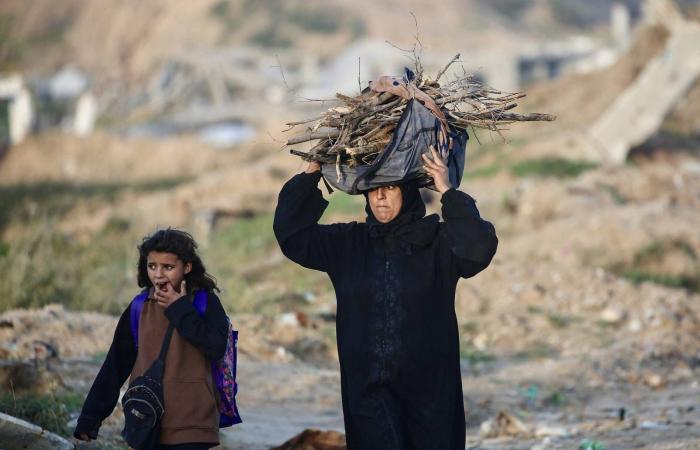 «لجنة
      غزة»
      تحصد
      الدعم...
      واشنطن
      تعلن
      بدء
      «المرحلة
      الثانية»