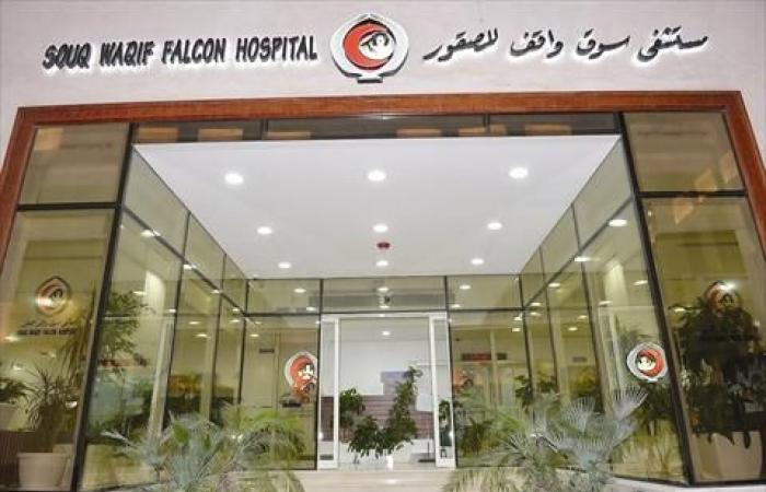 مستشفى سوق واقف للصقور يقدم خدمات علاجية للصقور في موقع مهرجان مرمي