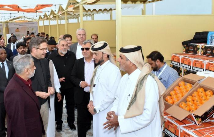 المكتب الهندسي الخاص ينظم معرض الحمضيات الباكستانية في سوق الوكرة القديم