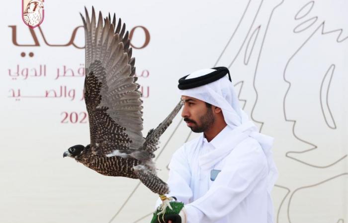 20 صقارا جديدا يتأهلون إلى نهائي بطولة الدعو المحلي في مهرجان مرمي 2026