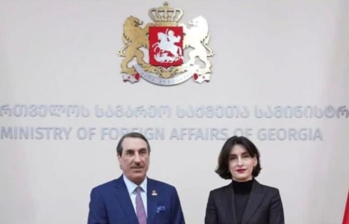 وزيرة خارجية جورجيا تجتمع مع سفير دولة قطر