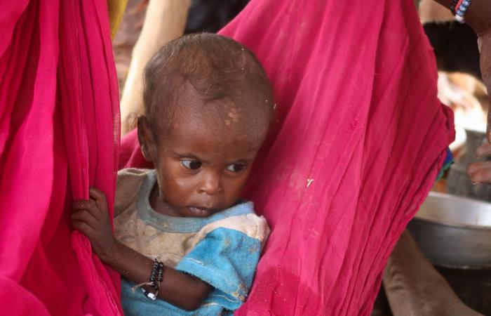 عبد
      العاطي
      وويتكوف
      تباحثا
      سبل
      تعزيز
      الشراكة
      الاستراتيجية
      بين
      مصر
      وأميركا