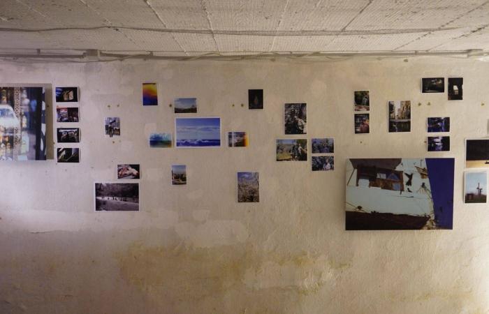 معرض
      «بين
      الأنفاس»...
      الصورة
      تستعيد
      دورها
      خارج
      منطق
      الشرح