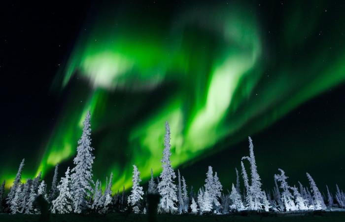 منذ تكوّن الأرض.. الرياح الشمسية تحمل جسيمات من غلافنا الجوي إلى القمر