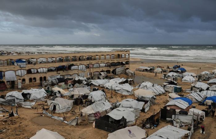 ترمب
      يدعو
      السيسي
      لـ«مجلس
      السلام»
      في
      غزة