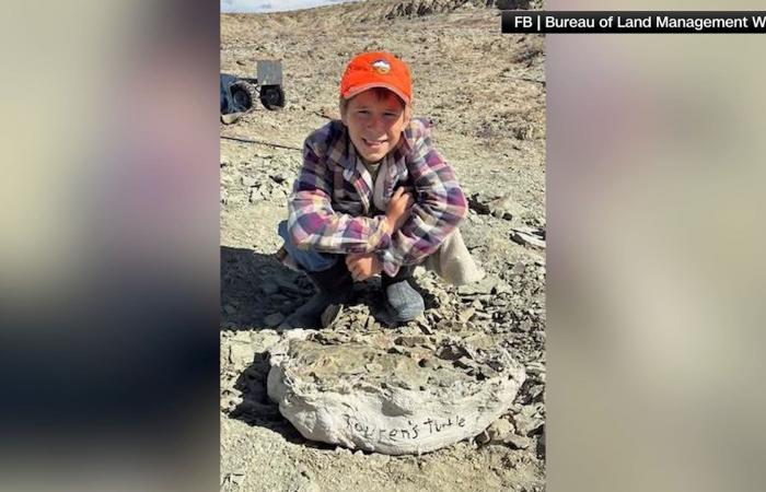 طفل يبلغ من العمر 11 عامًا يكتشف أحفورة سلحفاة تعود لـ48 مليون سنة