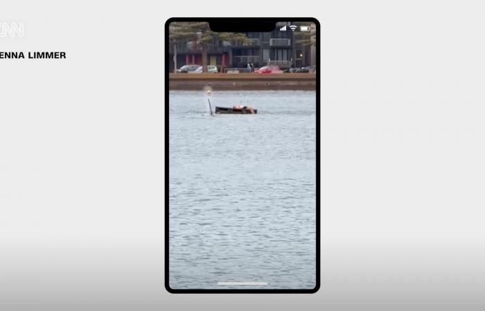 لحظات صادمة.. شاهد رد فعل رجل عندما مر حوتان بجانبه بينما يستمتع بالشمس