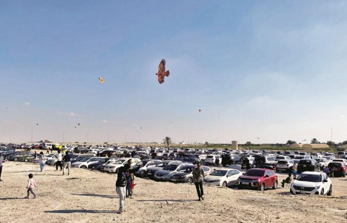 مهرجان للطائرات الورقية بحديقة الدوسري