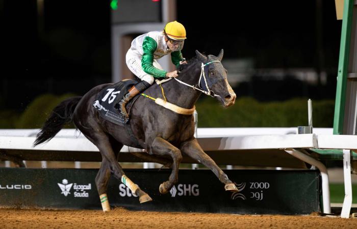 الدوري
      السعودي:
      القادسية
      يقسو
      على
      الحزم
      بخماسية