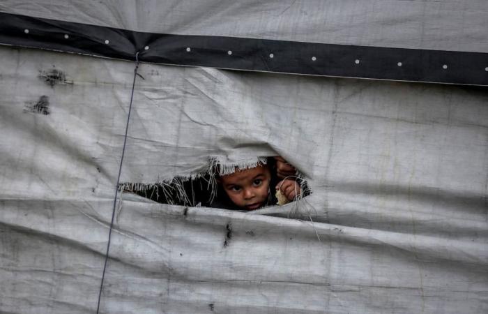 الأونروا: مستويات قياسية لانتشار الأمراض في غزة