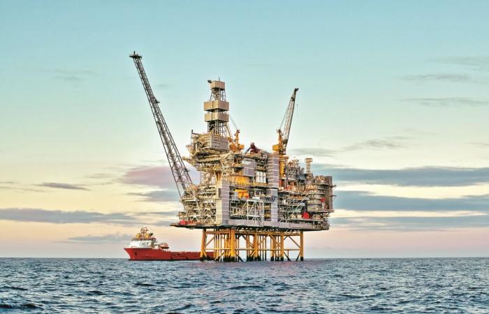 استقرار أسعار النفط