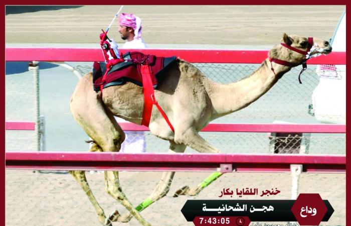 هجن الشحانية تتوج بالخنجر الذهبي للقايا بكار بالسلطنة