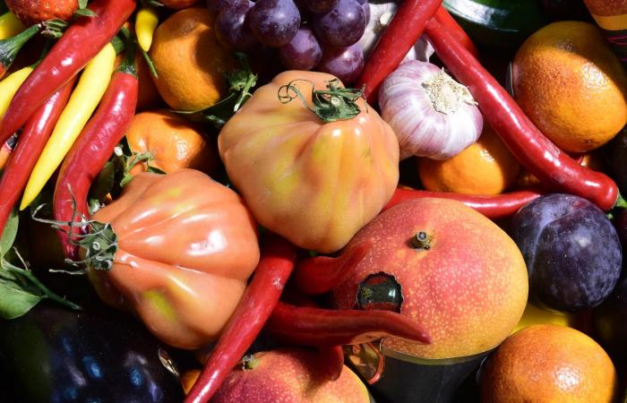 رغم فوائدها.. متى تصبح الألياف ضارة لصحة جسمك؟