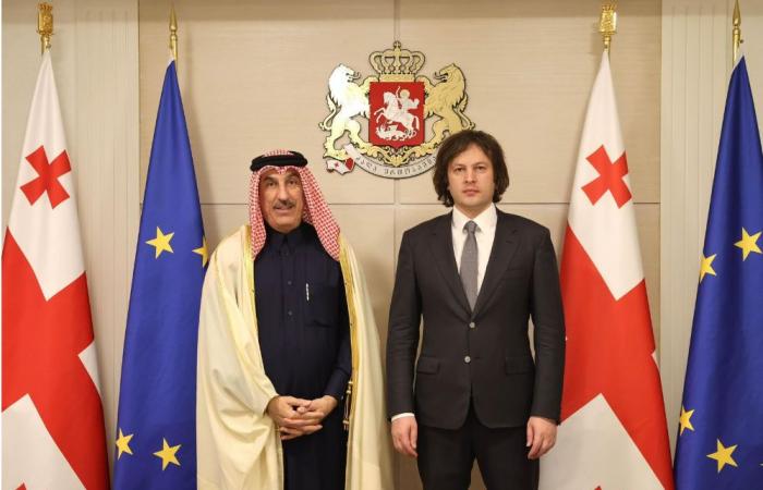 رئيس وزراء جورجيا يلتقي سفير دولة قطر