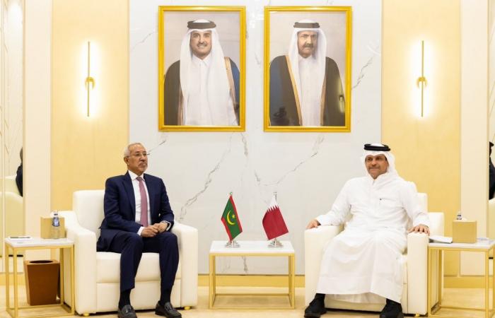 نائب رئيس مجلس الوزراء ووزير الدولة لشؤون الدفاع يلتقي وزير الدفاع وشؤون المتقاعدين وأولاد الشهداء الموريتاني