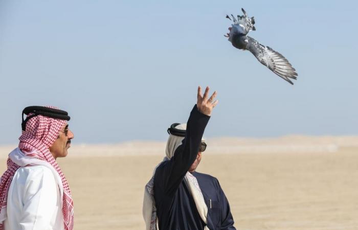 تتويج الفائزين في بطولة الدعو دولي بمهرجان مرمي 2026