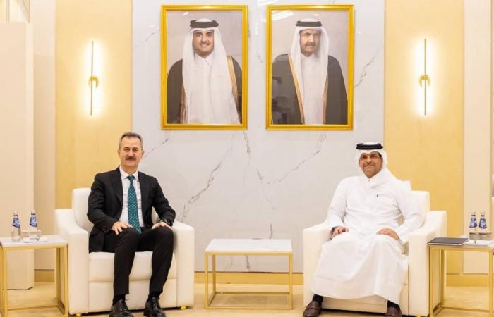 نائب رئيس الوزراء يعقد لقاءات ثنائية