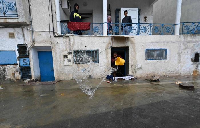 أربعة
      قتلى
      جراء
      أمطار
      غير
      مسبوقة
      في
      تونس