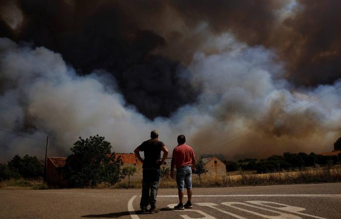 السعودية
      تستضيف
      أول
      قمة
      عالمية
      للشُّعب
      المرجانية
      أواخر
      2026