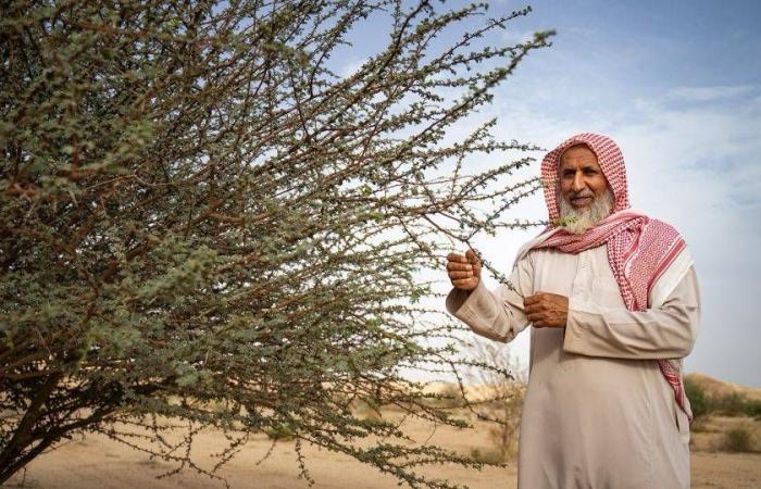 الدبلوماسية
      البيئية
      السعودية:
      مقاربة
      شاملة
      تتجاوز
      المناخ