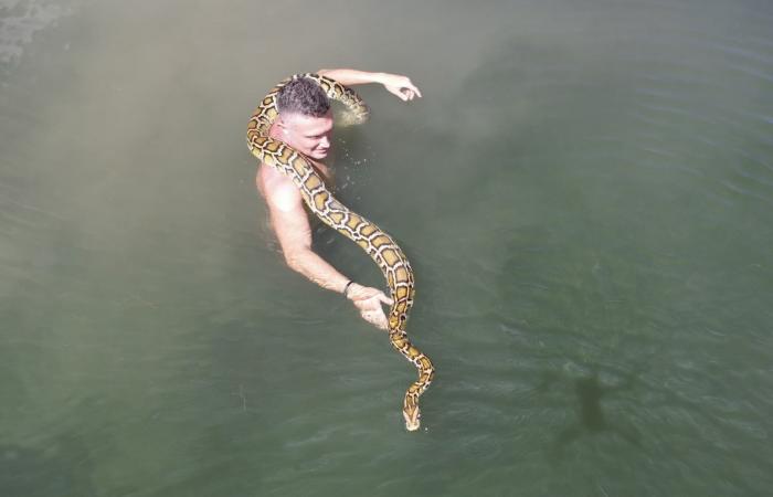 شاهد.. مغامر لبناني يسبح مع واحدة من أكبر الأفاعي في العالم