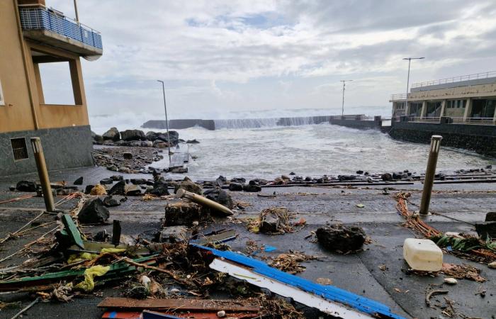 «صوت
      هند
      رجب»
      يصل
      إلى
      القائمة
      النهائية
      لـ«الأوسكار»