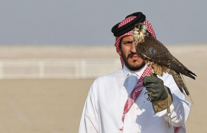 تسليم الصقور المشاركة في بطولة" المزاين" بمهرجان مرمي 2026 غدا