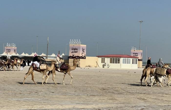 سهيل يتصدر المجموعة الأولى بعد تراجع شامان في بطولة القلايل 2026