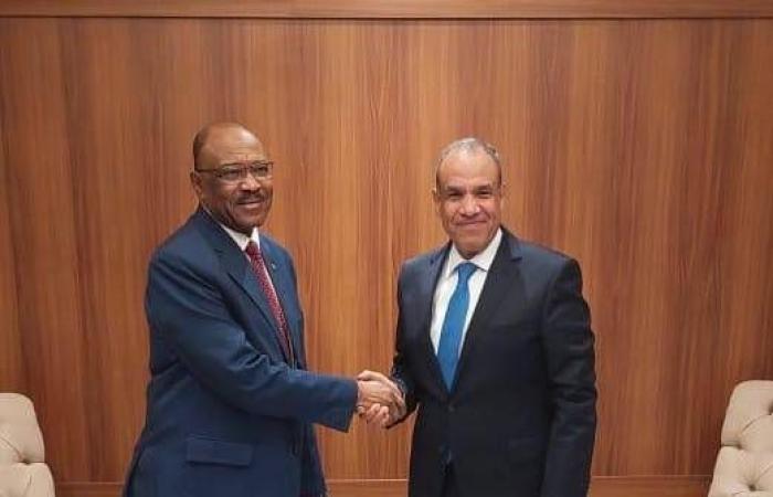 مصر
      تعوّل
      على
      استمرار
      التنسيق
      في
      إطار
      «الرباعية»
      لوقف
      حرب
      السودان