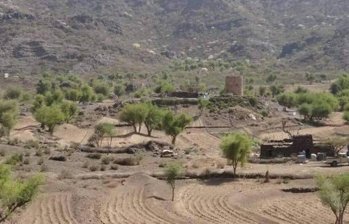 الحوثيون
      يخنقون
      قرية
      في
      عمران
      بعد
      تلقِّيهم
      ضربة
      قبَلية