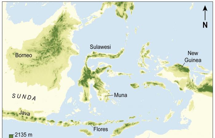 أقدم رسم يد معروف في العالم.. اكتشاف في إندونيسيا يعود إلى أكثر من 67 ألف عام