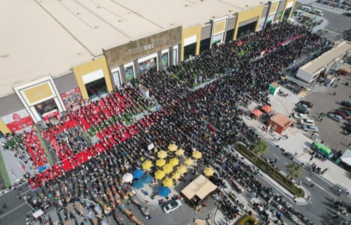 خلال يومين فقط.. معرض القاهرة الدولي للكتاب يستقبل مليون زائر