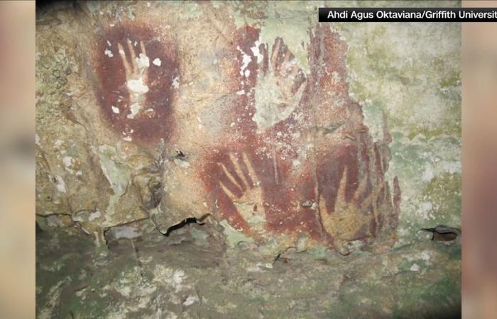 هل يكون هذا الرسم في إندونيسيا أقدم فن صخري في العالم؟