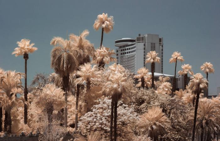 «الطيف
      المخفي»...
      مدن
      مصرية
      تُعاد
      رؤيتها
      بعدسة
      غير
      مألوفة