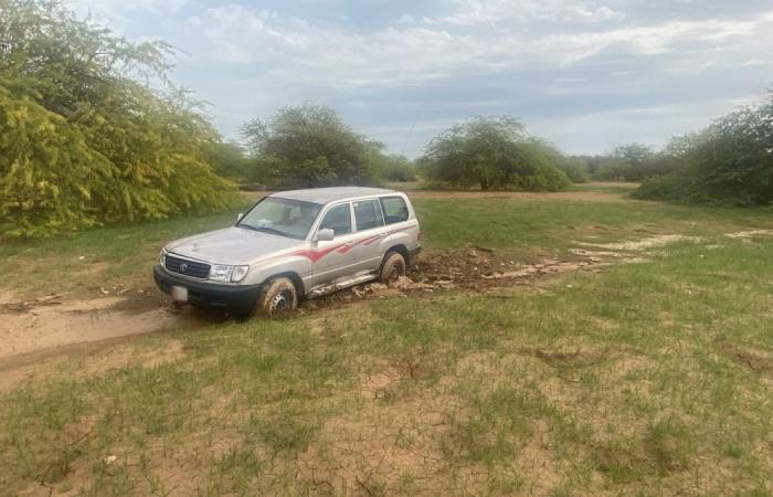 البيئة تضبط مخالفة دخول مركبة إلى روض المناطق الشمالية وإتلاف الغطاء النباتي