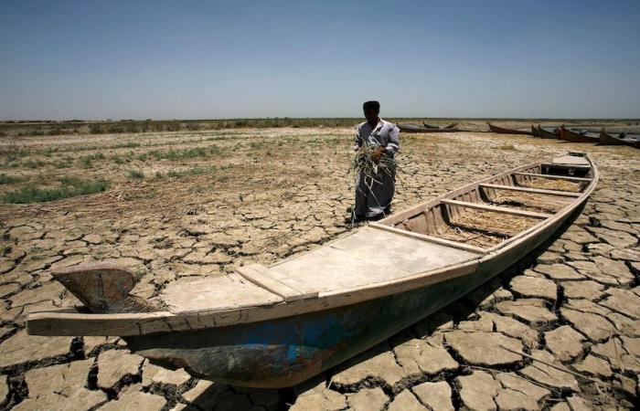  شح المياه وراء تراجع نسبة استغلال الأراضي الزراعية في العراق