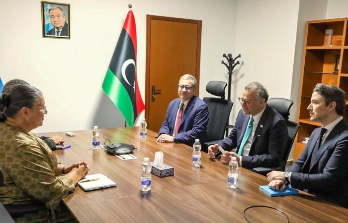 لقاءات
      أميركية
      -
      أممية
      -
      إقليمية
      لتجاوز
      الأزمة
      الليبية