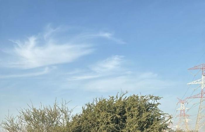 البيئة: إزالة مخلفات بناء من روض المنطقة الوسطى بعد ملاحظة مواطن